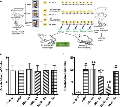 100 Hz Electroacupuncture Alleviated Chronic Itch and GRPR Expression Through Activation of Kappa Opioid Receptors in Spinal Dorsal Horn